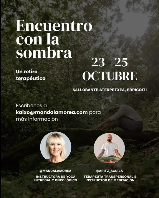 Cartel del retiro Encuentro con la sombra
